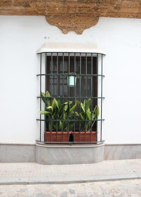 Fancy Apartment In A Historic House, Chiclana City Center By C. Dreams شيكلانا دي لا فرونتيرا المظهر الخارجي الصورة